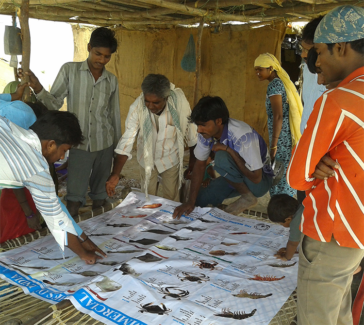Training And Capacity Building Of Fishermen